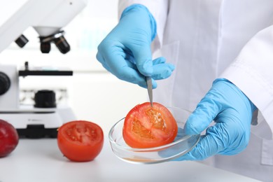 Photo of Scientist holding Petri dish with slice of tomato in laboratory, closeup. Poison detection