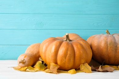 Ripe pumpkins on table against blue wooden background. Holiday decoration