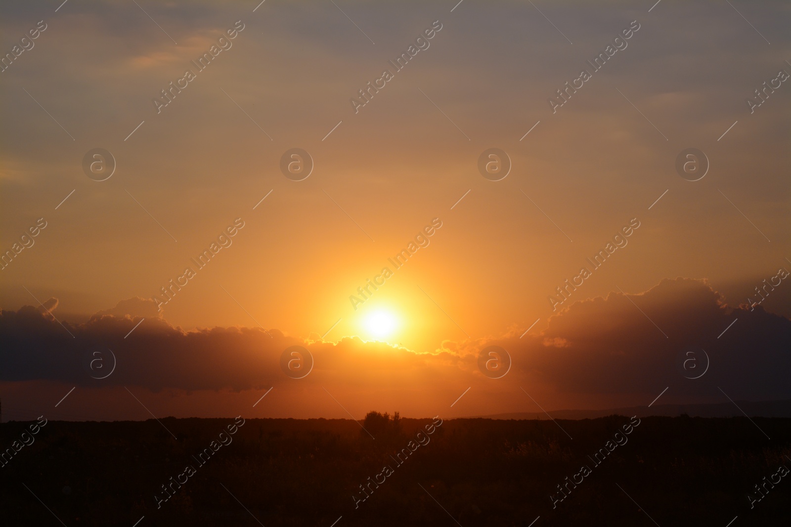 Photo of Picturesque view of beautiful field at sunset