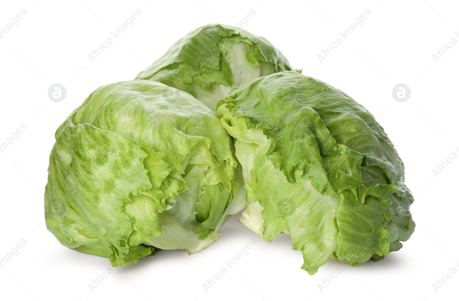 Photo of Fresh green iceberg lettuces isolated on white