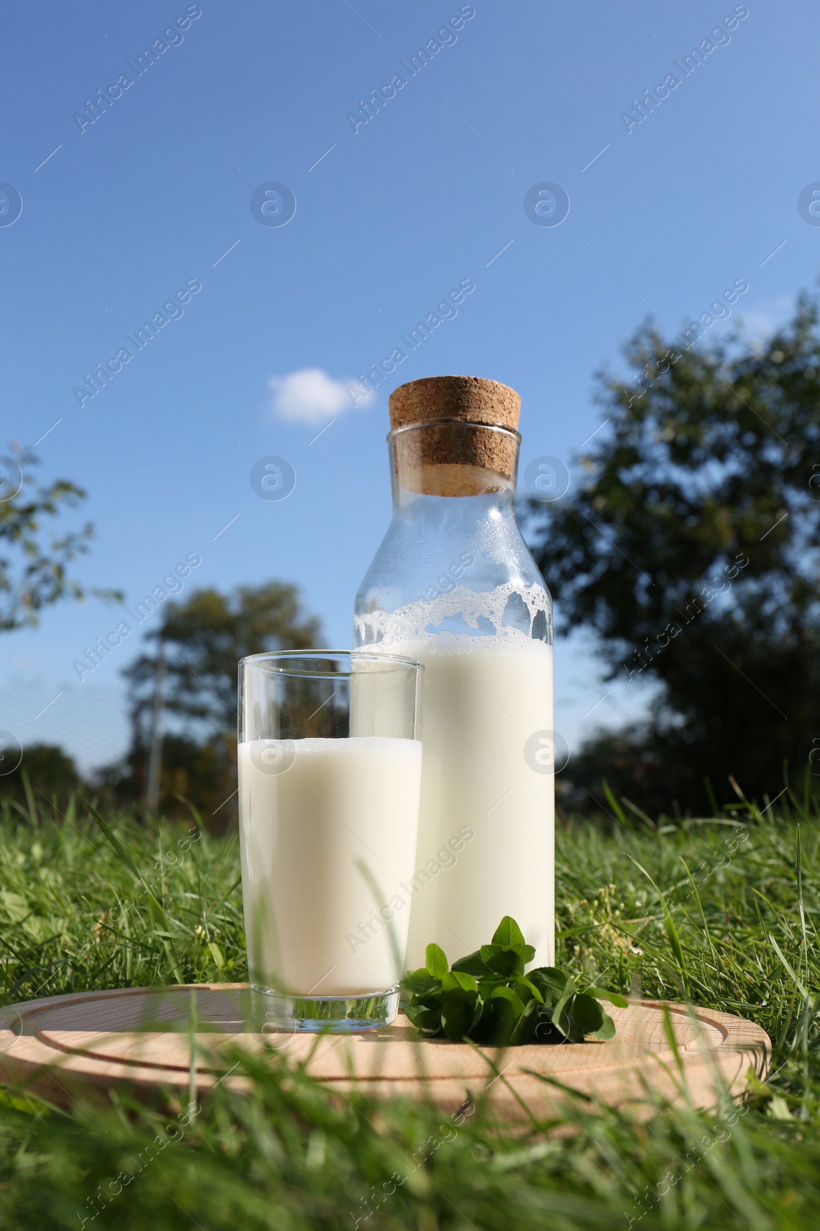 Photo of Glass and bottle of milk on wooden board outdoors