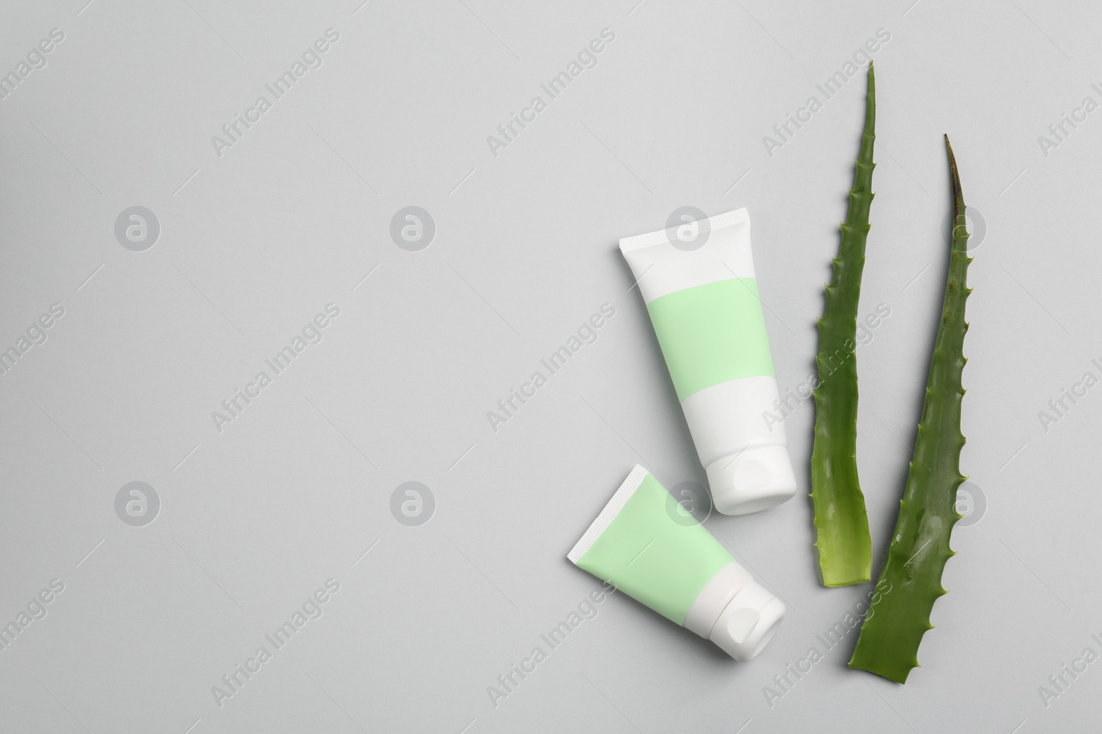 Photo of Tubes of toothpaste and fresh aloe on light grey background, flat lay. Space for text