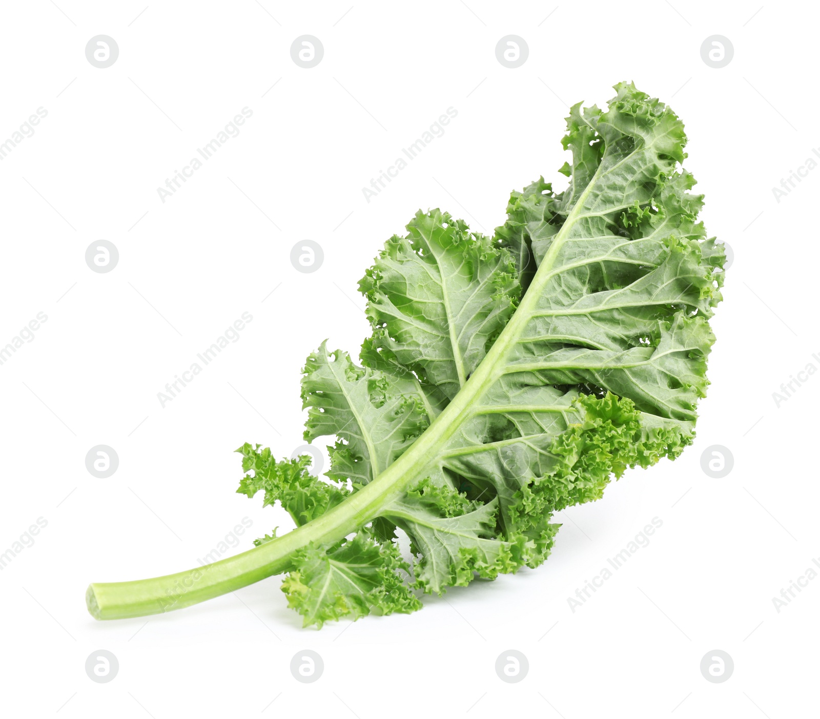 Photo of Fresh green kale leaf isolated on white