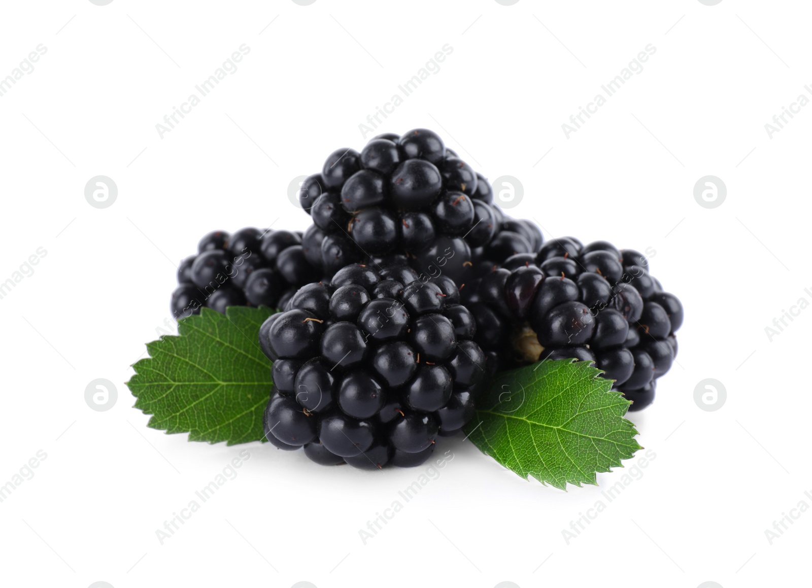 Photo of Tasty ripe blackberries and leaves on white background