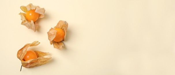 Image of Ripe physalis fruits on beige background, flat lay with space for text. Banner design