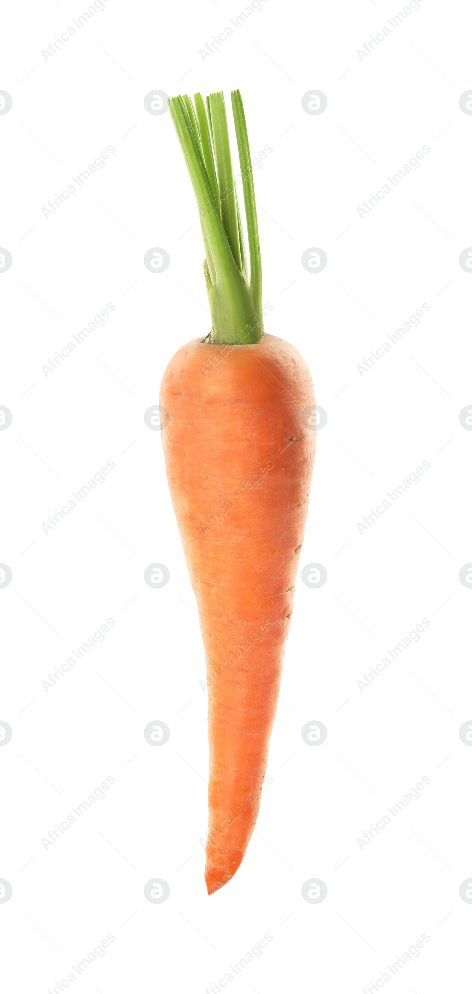 Photo of Fresh ripe juicy carrot isolated on white