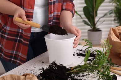 Photo of Woman putting soil into pot at white table indoors, closeup. Transplanting houseplants