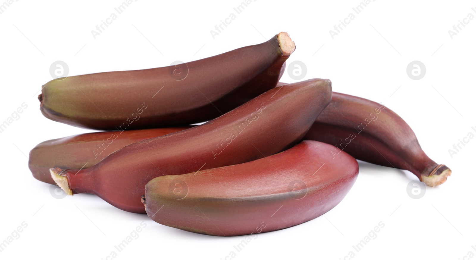 Photo of Tasty red baby bananas on white background