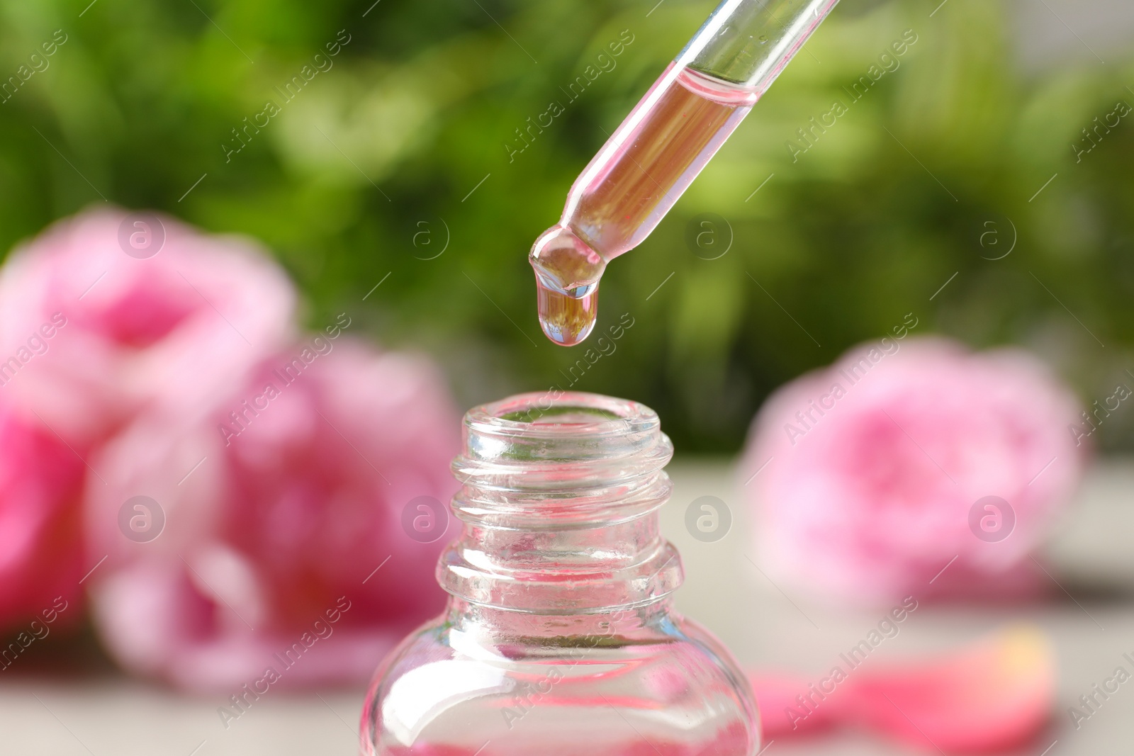 Photo of Dripping rose essential oil into bottle against blurred background