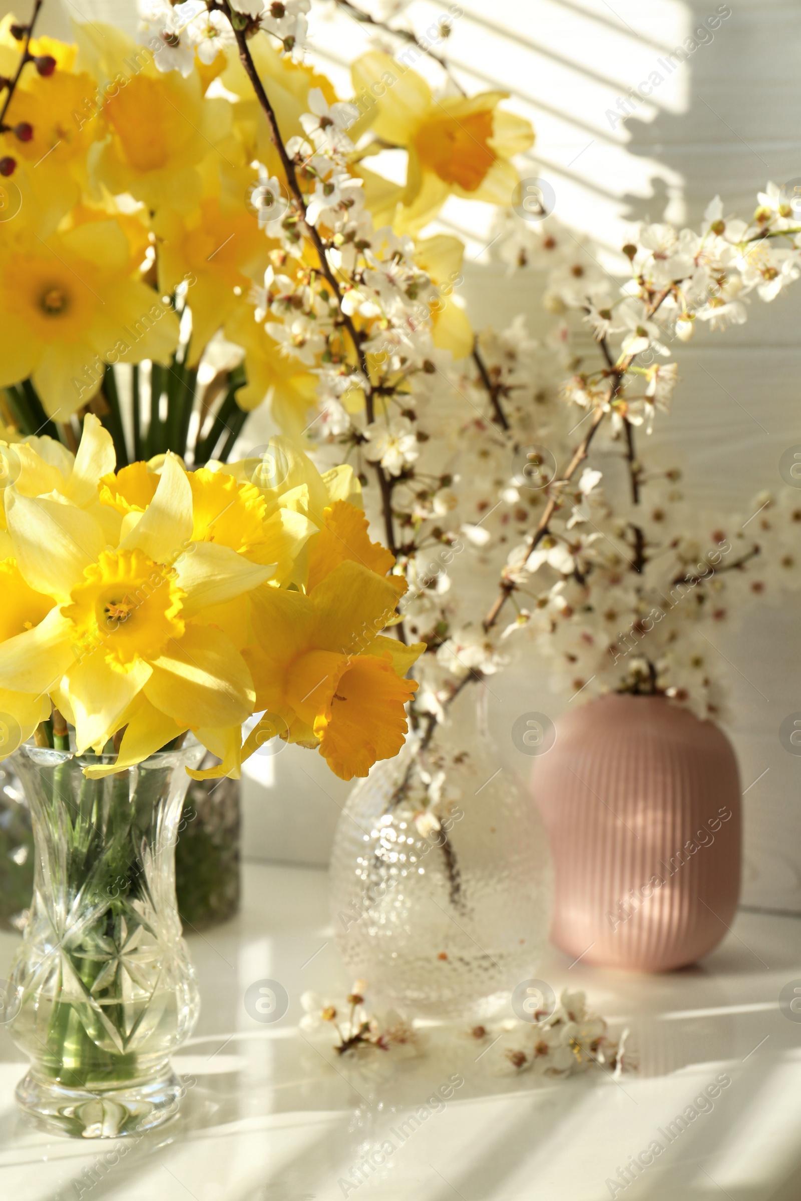 Photo of Yellow daffodils and beautiful branches on windowsill