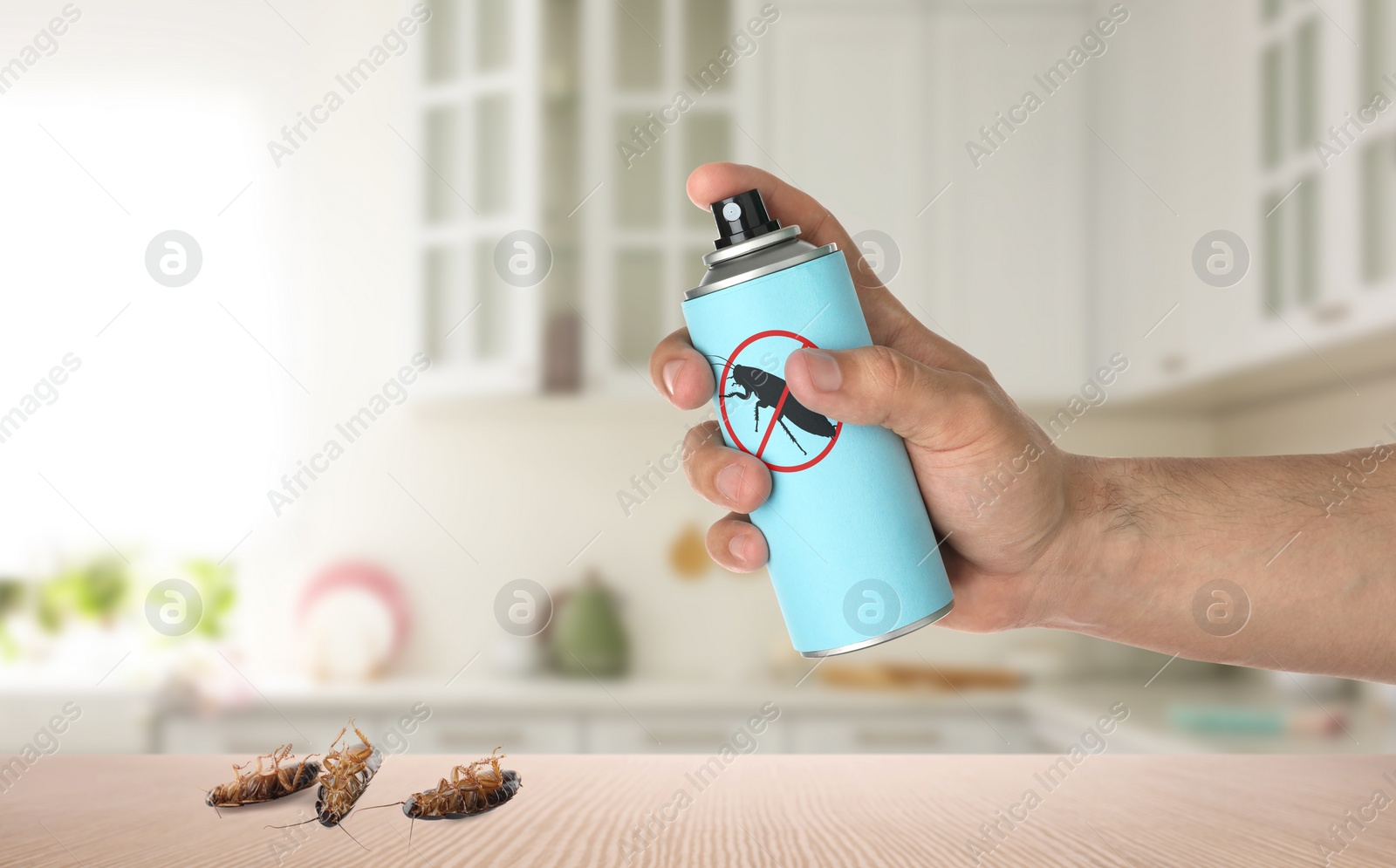 Image of Pest control. Man spraying insecticide near dead cockroaches on table in kitchen, closeup