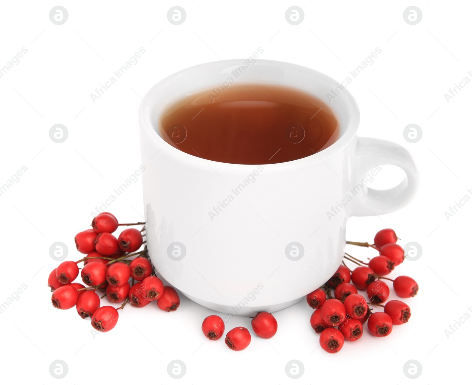 Photo of Aromatic hawthorn tea in cup and berries isolated on white