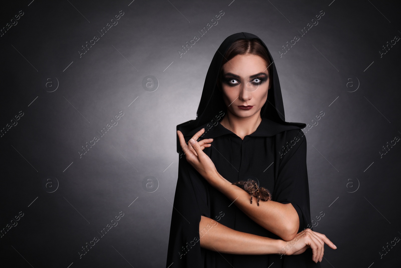 Photo of Mysterious witch with spooky spider on dark background. Space for text