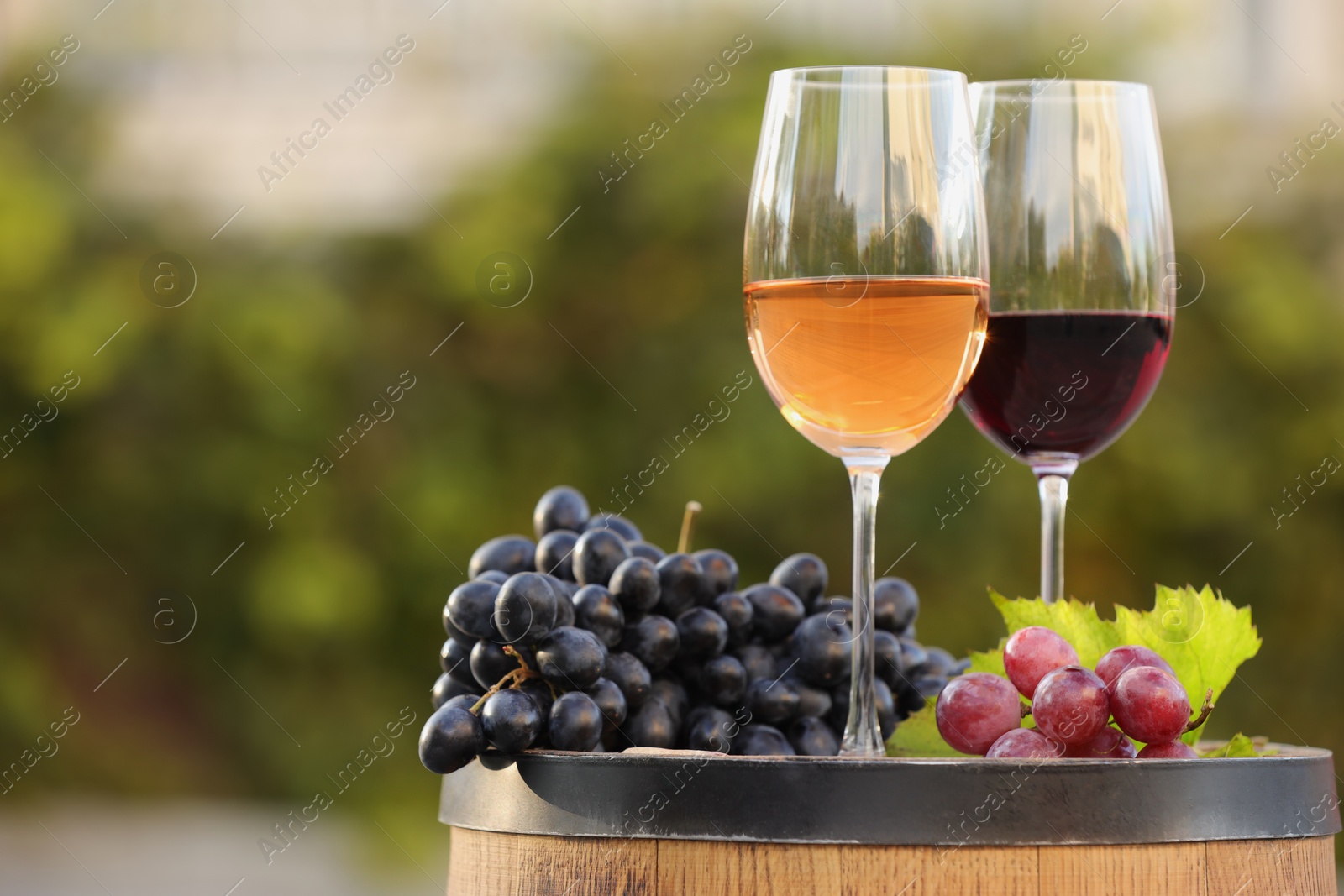 Photo of Delicious wines and ripe grapes on wooden barrel outdoors, space for text