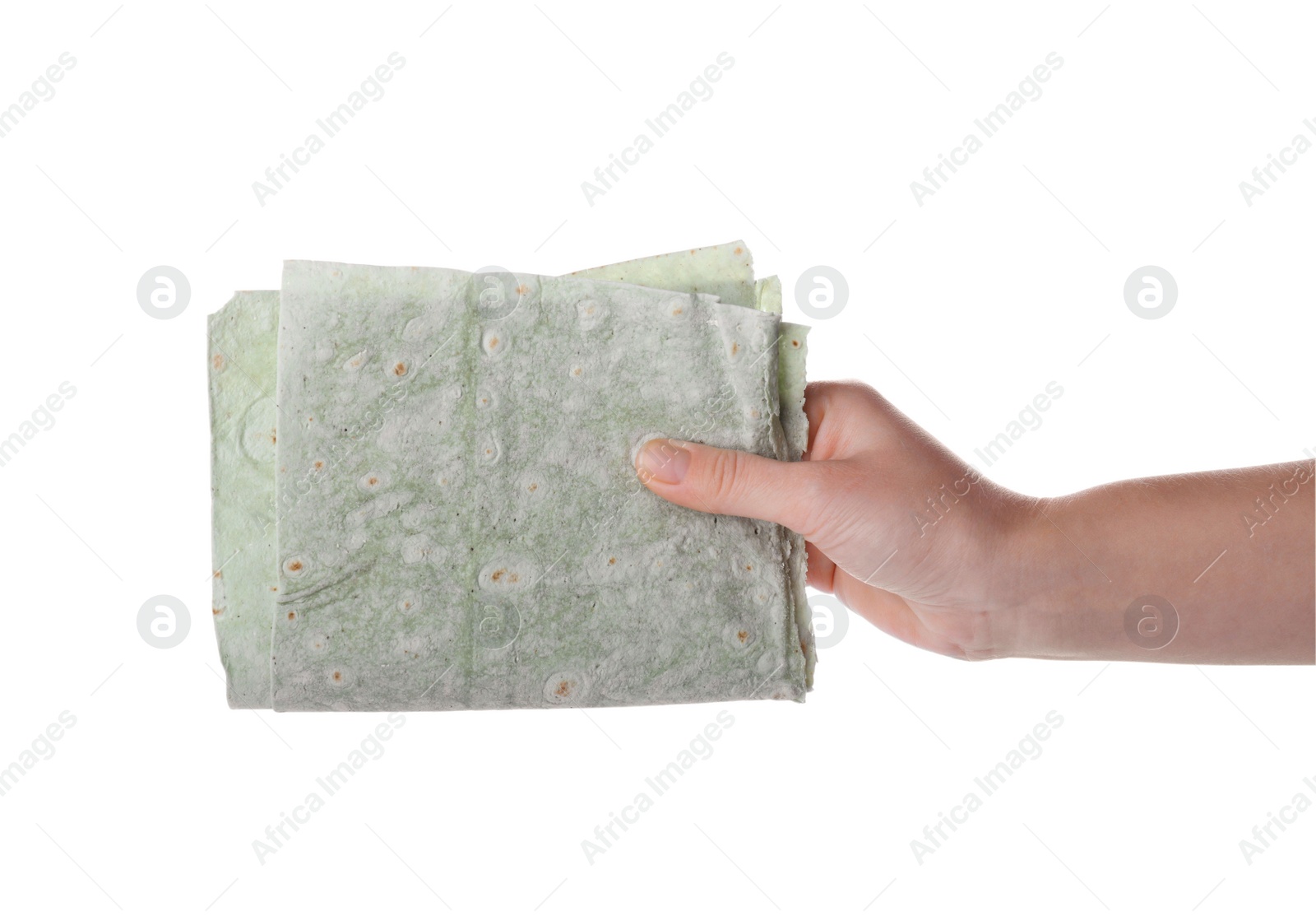 Photo of Woman holding green thin Armenian lavash on white background, closeup