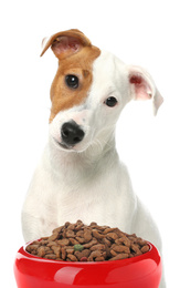 Image of Cute Jack Russel Terrier and feeding bowl with dog food on white background
