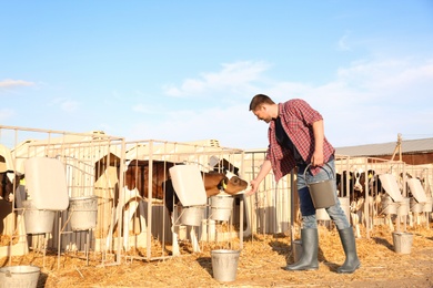 Photo of Worker stroking little calf on farm. Animal husbandry