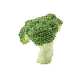 Photo of Fresh raw green broccoli isolated on white