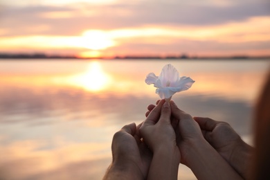 Couple holding beautiful flower near river at sunset, closeup view with space for text. Nature healing power