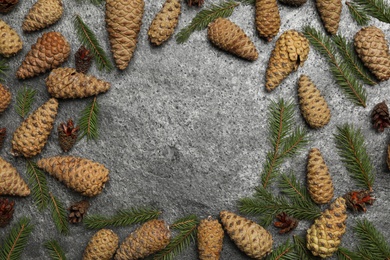 Photo of Frame of pinecones and fir tree branches on grey background, flat lay. Space for text