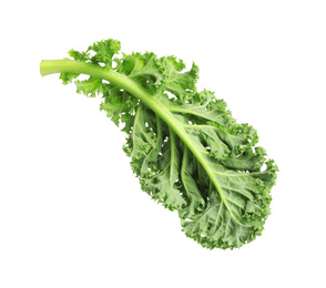 Photo of Fresh green kale leaf isolated on white