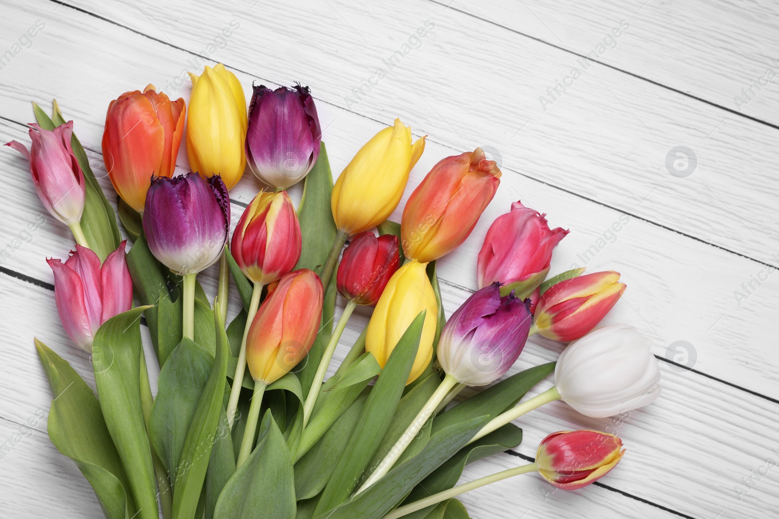 Photo of Beautiful colorful tulip flowers on white wooden table, top view