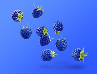 Many fresh blue raspberries falling on blue background