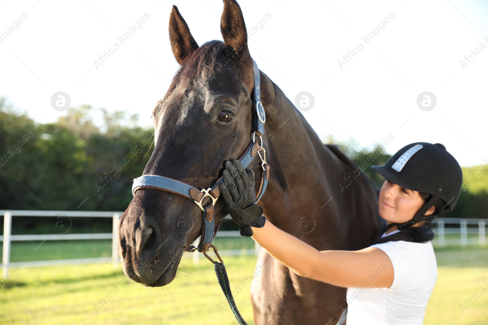 Photo of Young woman in horse riding suit and her beautiful pet outdoors on sunny day