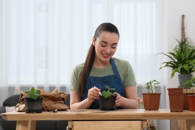 Happy woman planting seedling into pot at wooden table in room