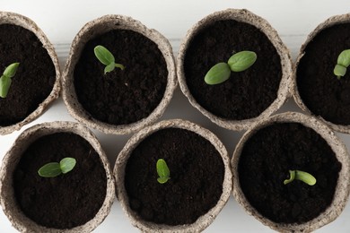Photo of Young seedlings in peat pots on white table, flat lay