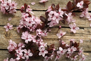 Photo of Spring branch with beautiful blossoms, petals and leaves on wooden table, top view