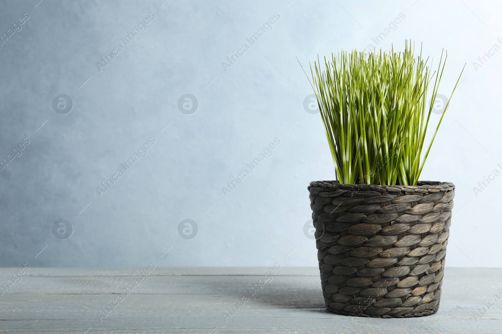 Photo of Artificial plant in flower pot on light grey wooden table. Space for text