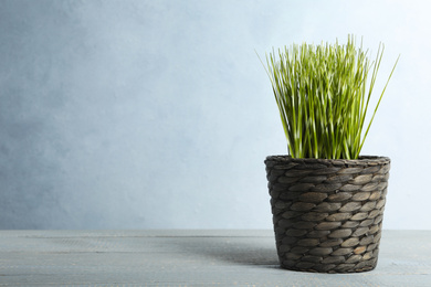 Artificial plant in flower pot on light grey wooden table. Space for text