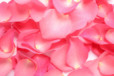 Photo of Fresh pink rose petals as background, closeup