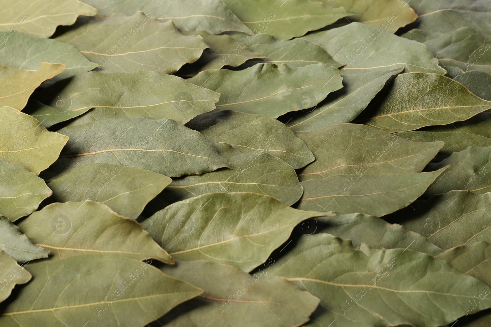 Photo of Aromatic bay leaves as background, closeup view