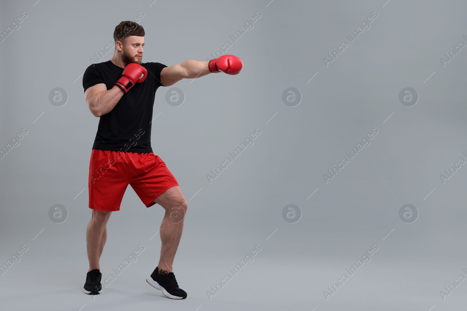 Photo of Man in boxing gloves fighting on grey background. Space for text