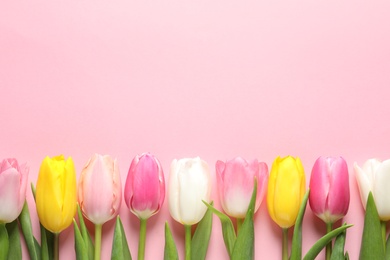 Flat lay composition of beautiful spring tulips on color background, space for text. International Women's Day