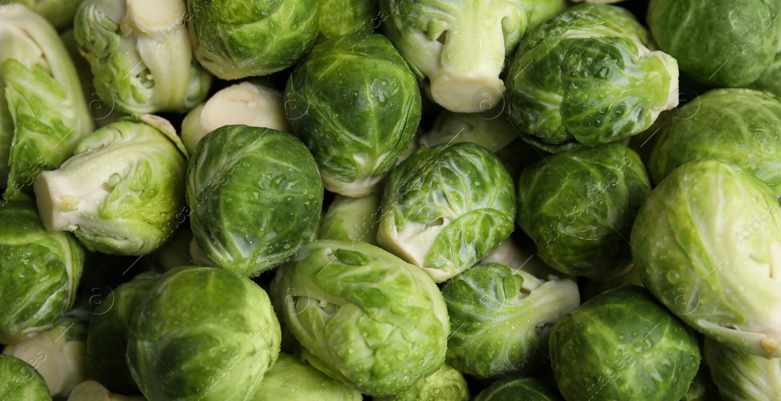 Photo of Fresh wet Brussels sprouts as background, closeup