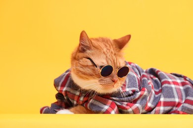 Cute ginger cat in stylish sunglasses and checkered shirt on yellow background