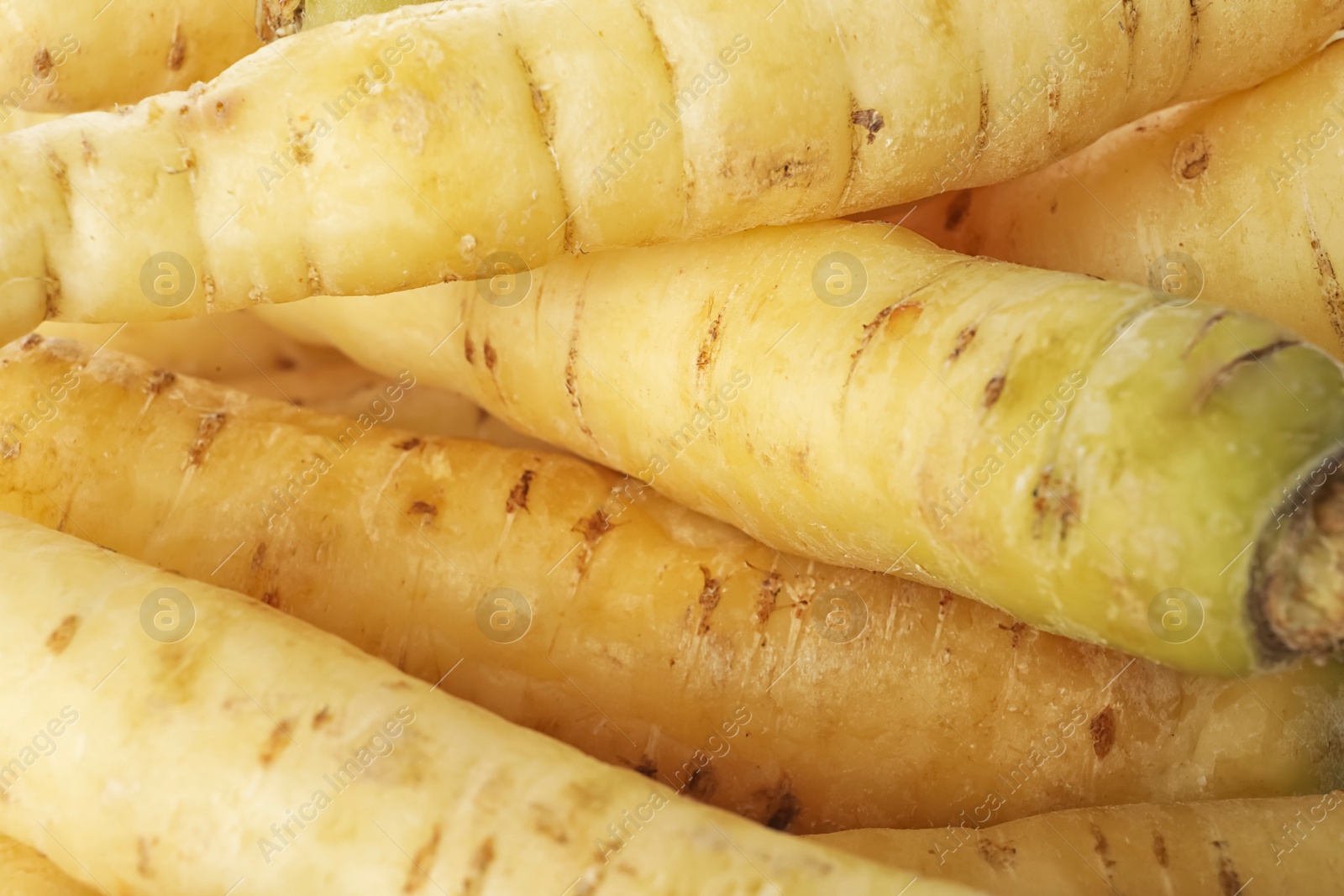 Photo of Fresh raw white carrots as background, closeup