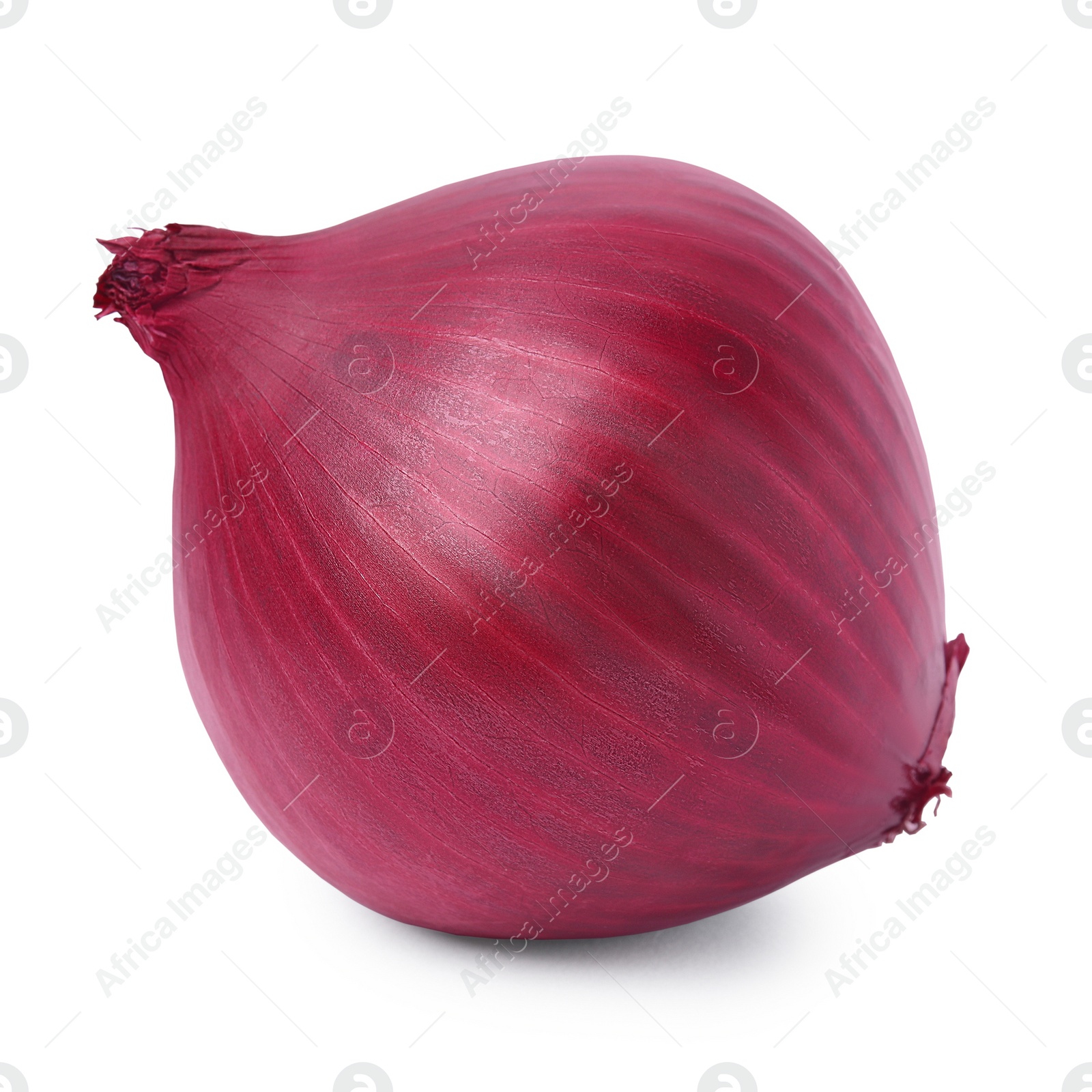 Photo of One fresh red onion on white background