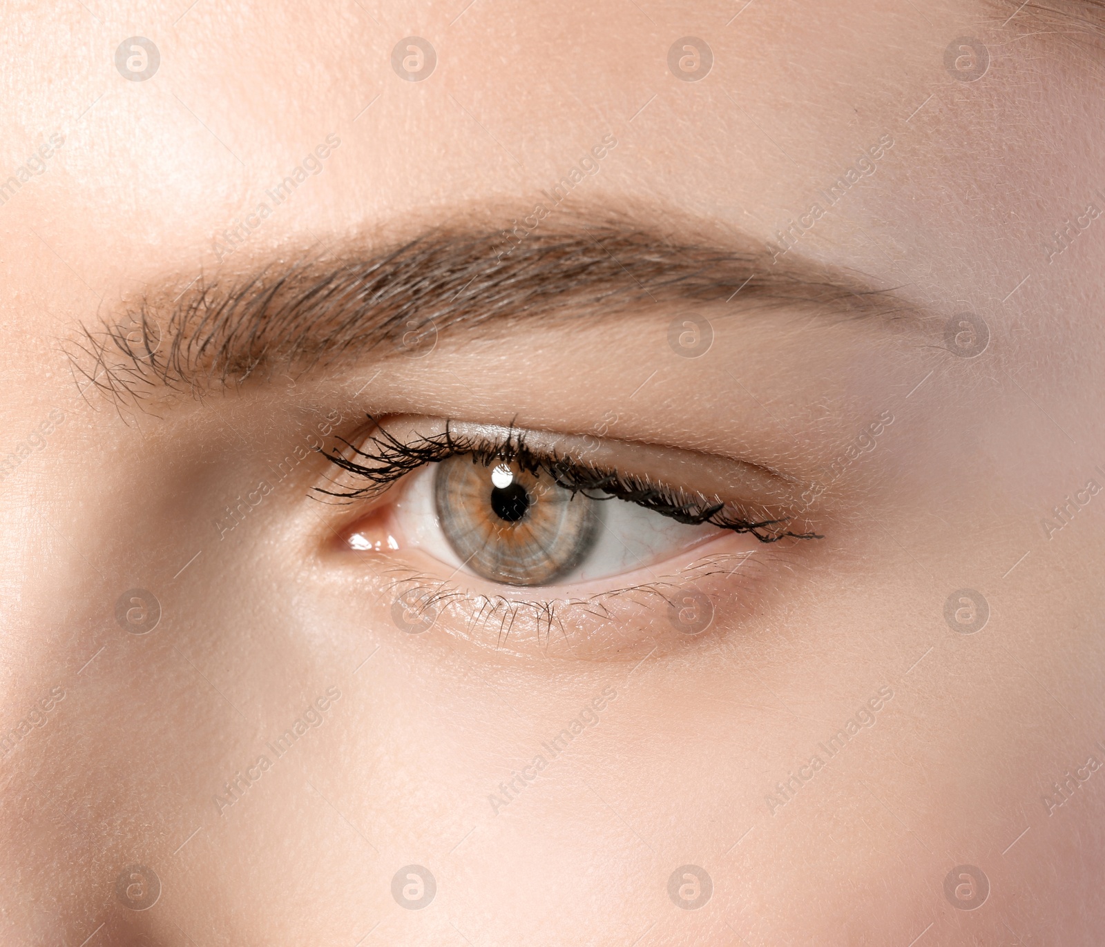 Photo of Beautiful woman with perfect eyebrow, closeup