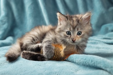 Photo of Cute kitten with toy on light blue blanket