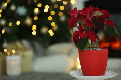 Photo of Potted poinsettia on stand in decorated room, space for text. Christmas traditional flower