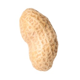 One fresh unpeeled peanut isolated on white