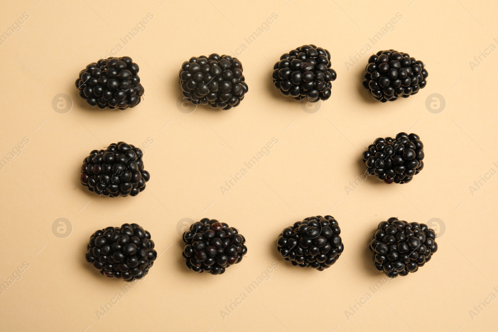 Photo of Flat lay composition with ripe blackberries on color background