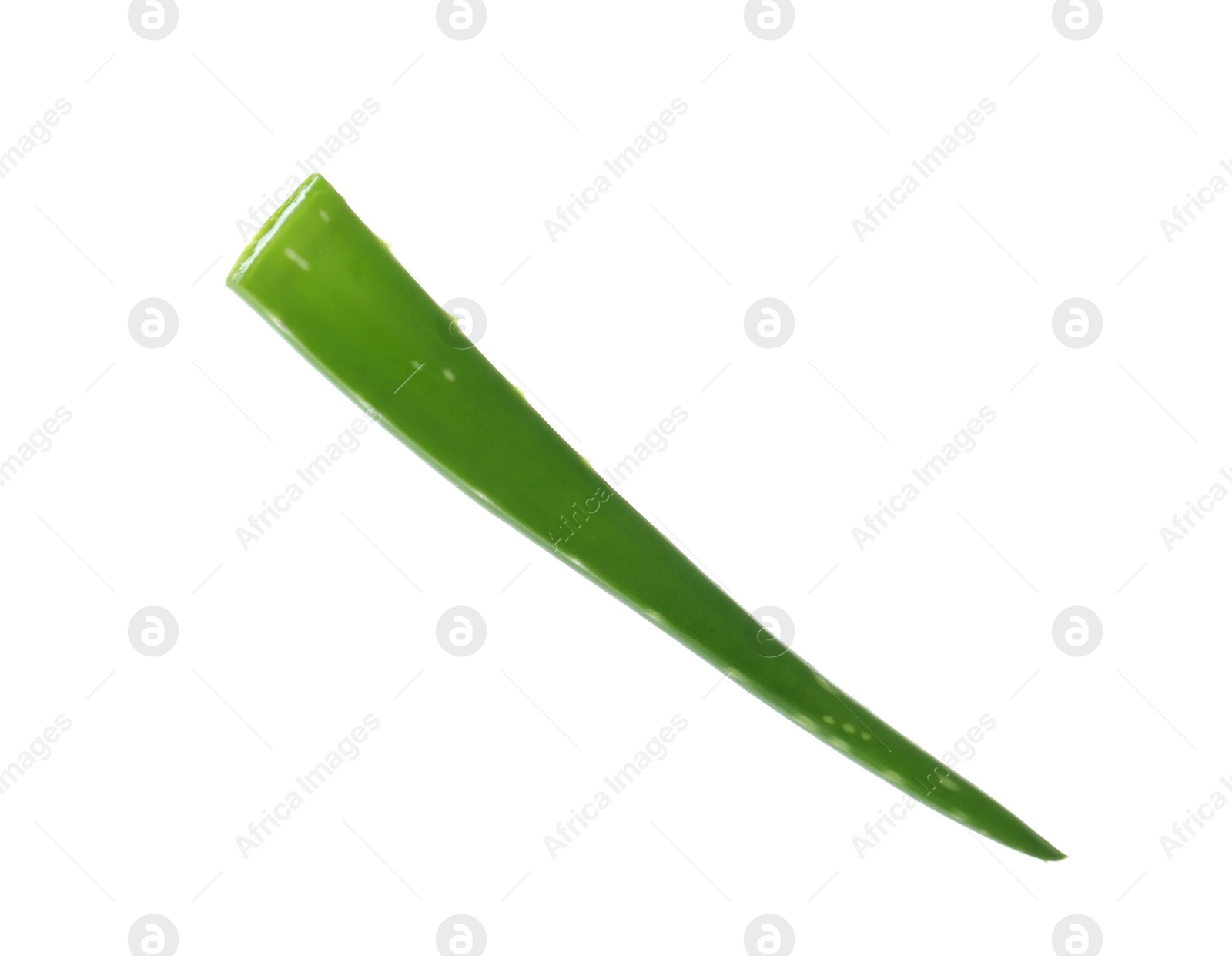 Photo of Aloe vera leaf on white background