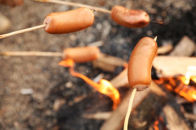 Frying sausages on bonfire outdoors. Camping season