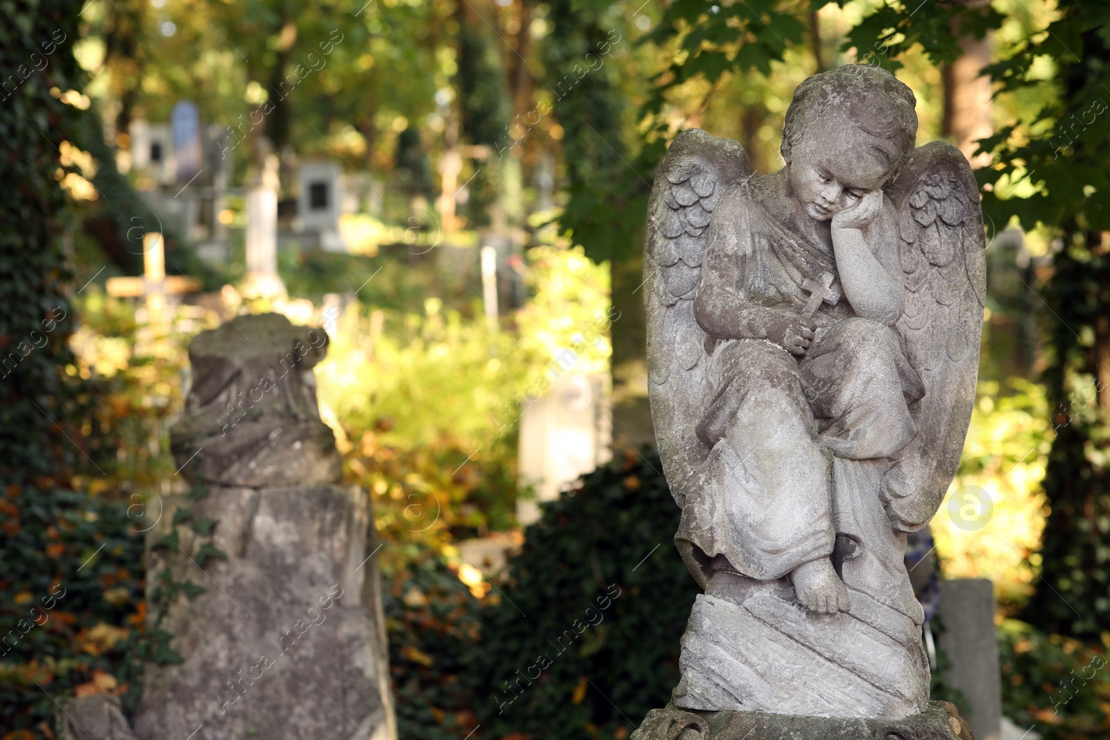 Photo of Beautiful statue of angel at cemetery, space for text. Funeral ceremony