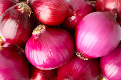 Many fresh red onions as background, closeup view